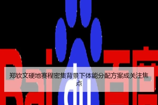 郑钦文硬地赛程密集背景下体能分配方案成关注焦点